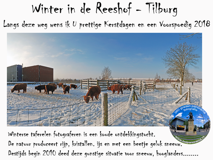 Winter in de Reeshof Tilburg 2018 2 750